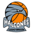 奥布雷贡鹰